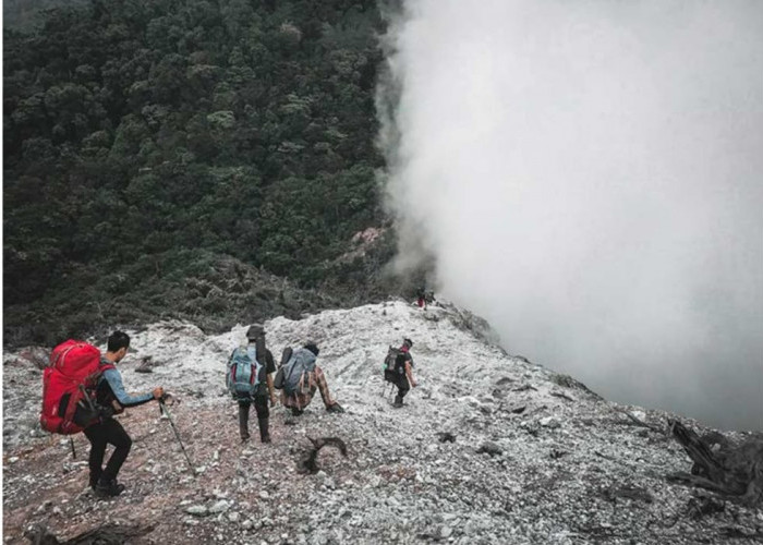 Misteri, Ada Pohon Panjang Umur dan Suku Unik di Gunung Patah