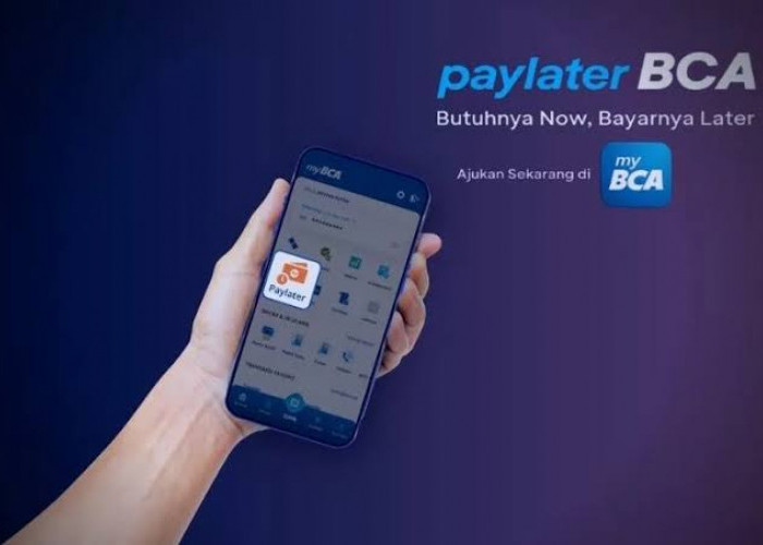 Berapa Bunga di BCA Paylater? Berikut Cara Aktivasi, Bunga Hingga Pembayaran Penagihan BCA Paylater