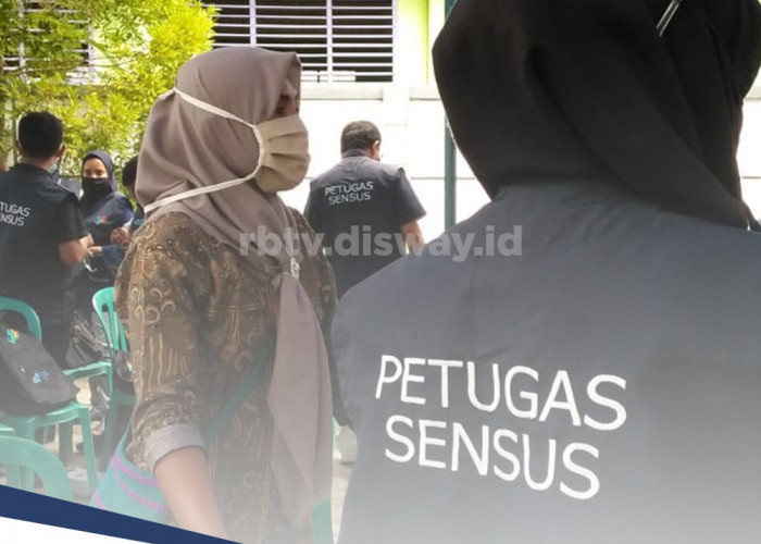 Ini Keuntungan Menjadi Mitra Statistik BPS 2024, Salah Satunya Punya Gaji Besar