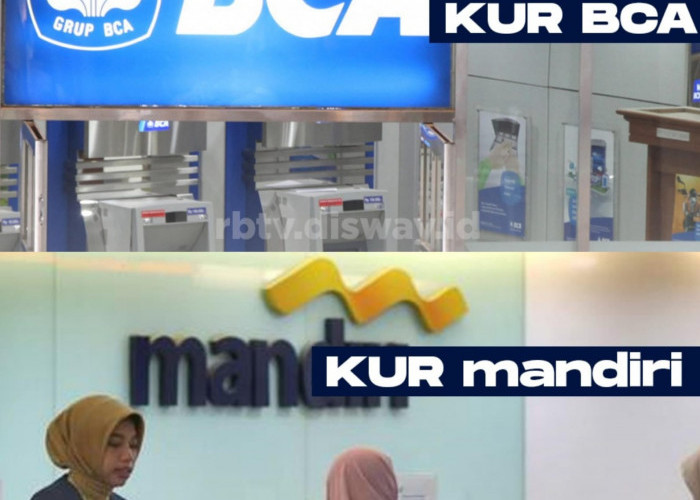 Cek Perbedaan Angsuran KUR BCA dan Mandiri 2024 untuk Pinjaman Rp 100 Juta, Bedanya Cuma Segini 