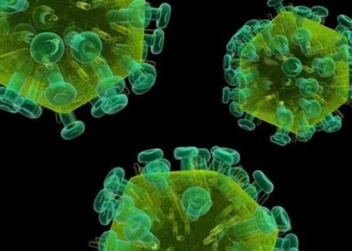 Virus Nipah Mematikan dan Mengancam Asia, Berikut Cara Mencegah Penularannya