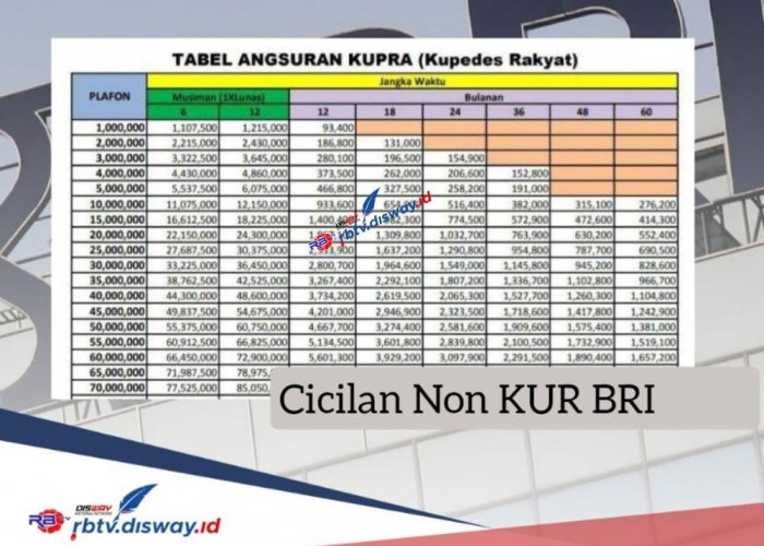 Cicilan Pinjaman Rp 50 Juta di BRI Non KUR hanya Rp 1 Jutaan, Ini Syarat dan Cara Pengajuannya