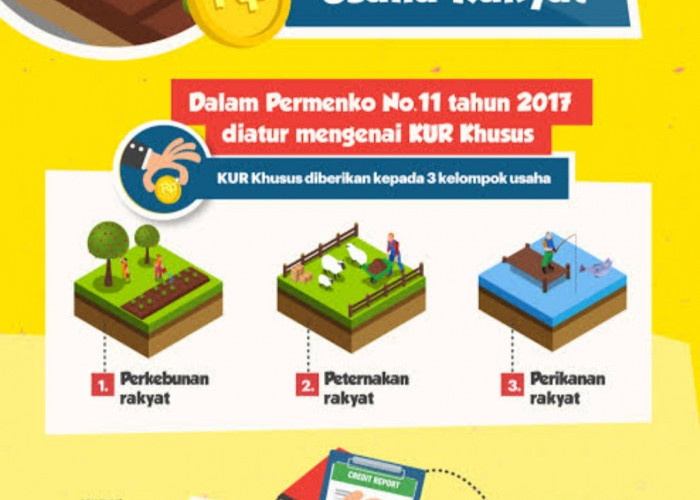 Wow, KUR Khusus Buat Kelompok Usaha Plafon Rp 500 Juta, Segera Cek Syaratnya