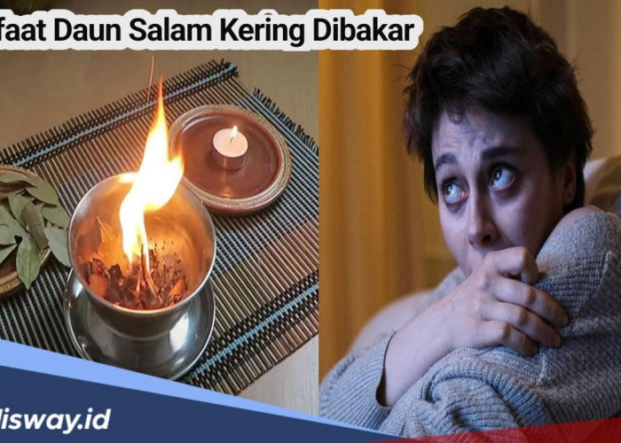 Jarang Diketahui, Ini Manfaat Daun Salam Kering Dibakar, Salah Satunya Ampuh Mengatasi Anxiety