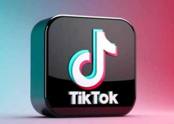 Ini 3 Rahasianya, Berjualan di Tiktok Sebulan Omset Capai Rp 1 Miliar