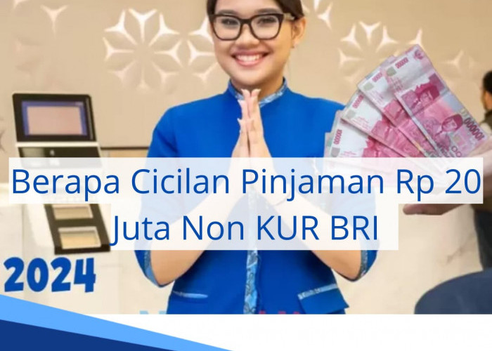 Berapa Cicilan Pinjaman Rp 20 Juta Non KUR BRI? Intip Tabel Angsuran Lengkapnya, Berserta Pilihan Tenor