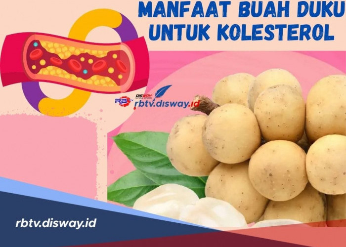 Ini Manfaat Buah Duku untuk Penderita Kolesterol! Cek Juga 9 Gejala Penderita Kolesterol di Sini