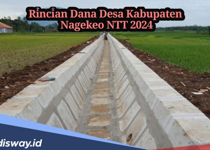 Rincian Dana Desa 2024 dari 97 Desa di Kabupaten Nagekeo NTT, Cek Desa Mana yang Paling Besar Terima Anggaran?