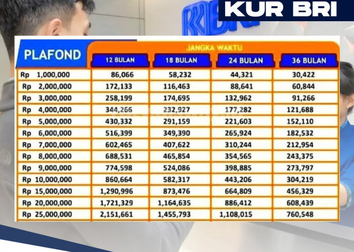 Penerima KUR Baru Bertambah 1,8 Juta, Ini Syarat dan Tabel Angsuran KUR BRI 2024 Pinjaman Rp 65 Juta