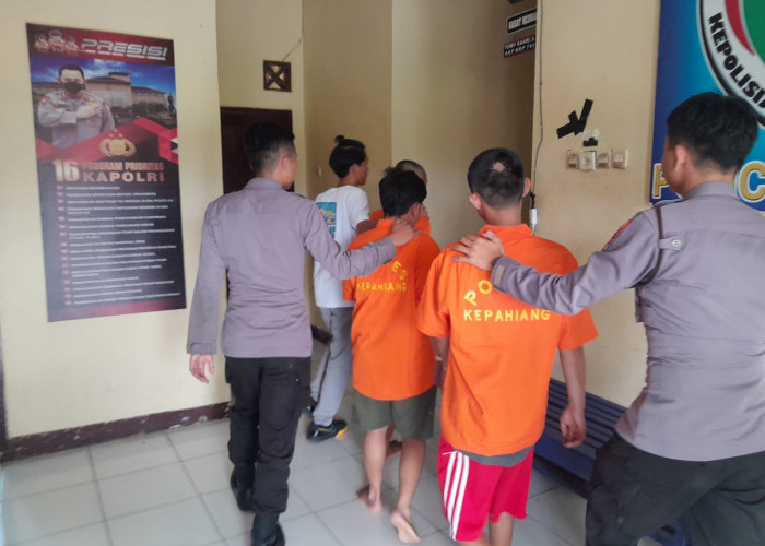 Licin, Pengedar Ganja Ini Sudah Berulang kali Hilir Mudik Kepahiang-Empat Lawang Namun Akhirnya Tertangkap 