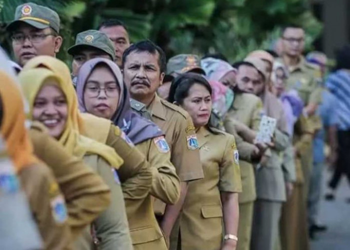 Ini Daftar Nama 3.043 Honorer P1 se-Indonesia yang Tinggal Tunggu Penempatan PPPK, Silakan Dicek. (Bagian 4)