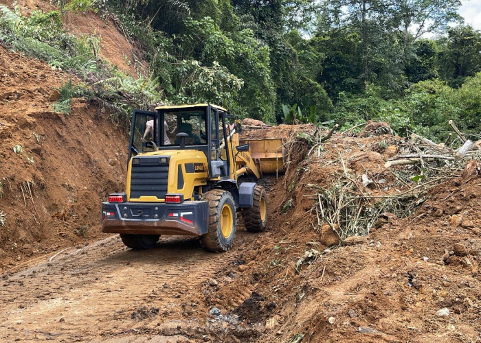 Hanya Mengandalkan Alat Berat Pinjaman Milik Pengusaha, Longsor di Rimbo Pengadang Belum Teratasi