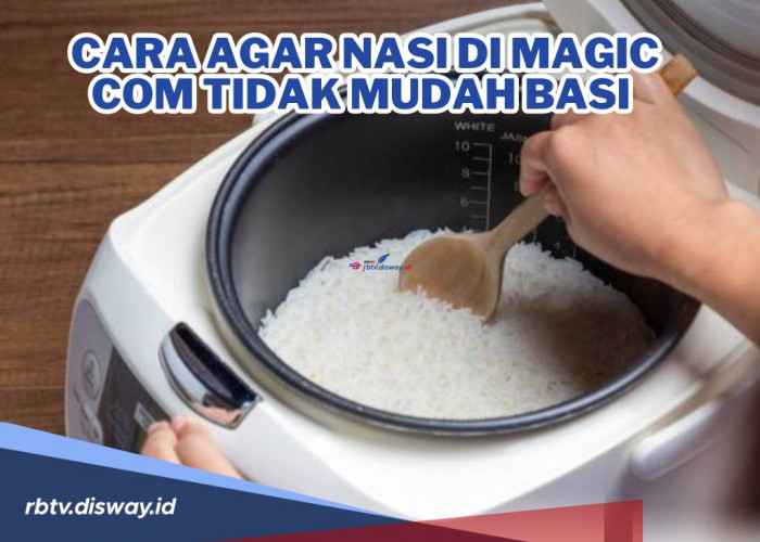 Wajib Tahu Supaya Tak Mubazir! Begini Cara agar Nasi di Magic Com Tidak Mudah Basi