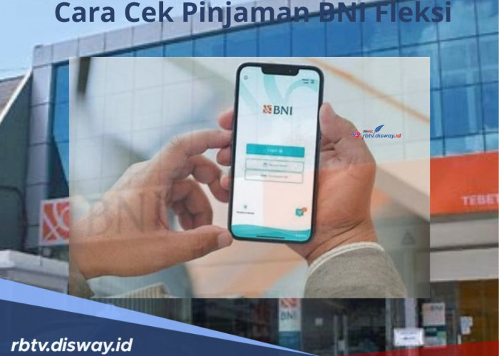 Cara Cek Pinjaman BNI Fleksi, Anti Ribet Tanpa Antre di Bank, Cukup Lewat Online Ikuti Langkahnya 