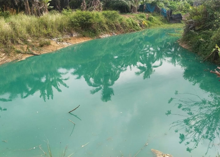 Telaga Biru Lenyap, Sekarang Muncul Telaga Hijau di Bengkulu Tengah