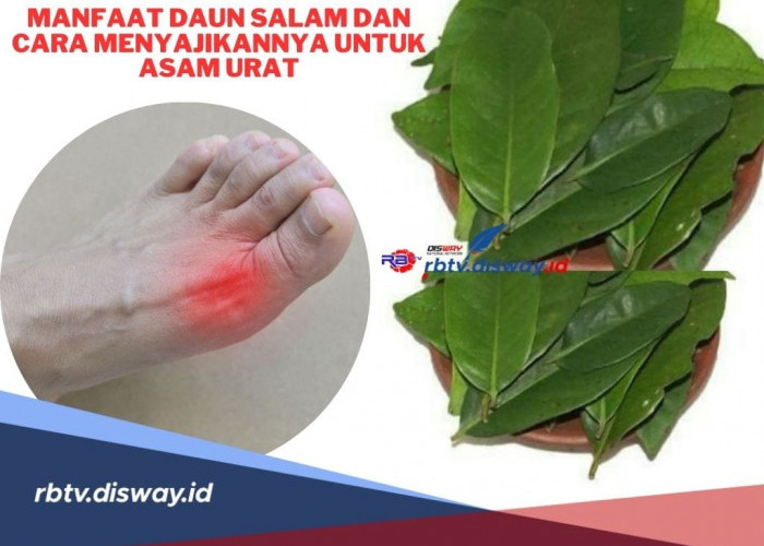  Manfaat Daun Salam Segar dan Cara Penyajiannya untuk  Obat Asam Urat