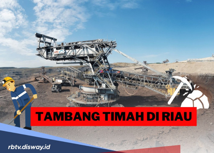 Lokasi Harta Karun di Riau yang Punya Cadangan 2 Miliar Ton Bijih Timah