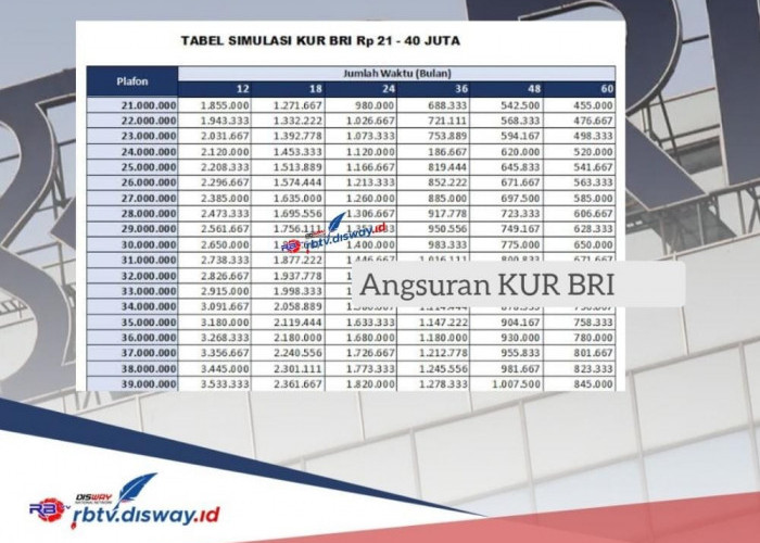 KUR BRI 2024 Cicilan Rp 500 Ribuan, Begini Cara Pinjam Uang Rp 30 Juta Bisa Lewat Online