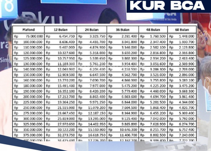 Anggota BPJS Ketenagakerjaan Bisa Pinjam KUR BCA, Ini Tabel Angsuran KUR BCA 2024 Pinjaman Rp 125 Juta