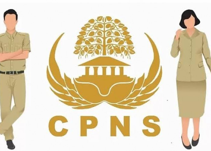 Ini 12 Jurusan yang Memiliki Peluang Besar Untuk Lolos Seleksi CPNS 2024, Kapan Dibuka Pendaftaran?