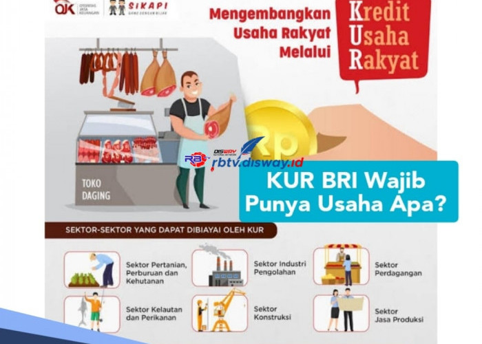 KUR BRI 2024 Wajib Punya Usaha Apa? Ini Aturannya, Pinjam Rp 100 Juta Diberi Cicilan Ringan