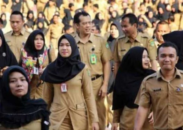 Pemerintah Siapkan Ratusan Ribu Kuota Penerimaan CPNS dan PPPK, Selain Guru, Berikut Formasi yang Dibuka