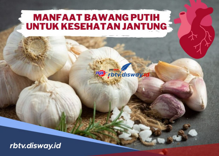 Tak hanya jadi Bahan Dapur! Ini Manfaat Bawang Putih untuk Kesehatan Jantung