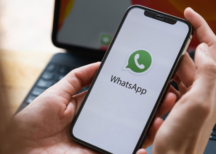 7 Cara Mendapatkan Uang dari WhatsApp, Sambil Tiduran Cuan Terus Mengucur