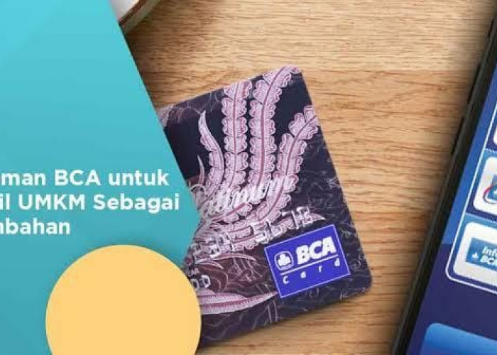 6 Jenis Pinjaman di Bank BCA Selain KUR, Tidak Kalah Menarik Untuk Menambah Modal Usaha