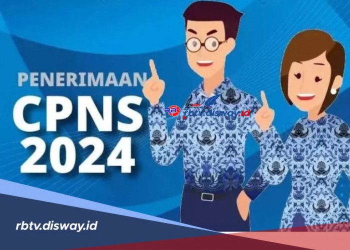 Daftar Instansi yang Buka Formasi CPNS 2024 untuk Lulusan SMA/SMK, Ini Persyaratan yang Wajib Dilengkapi