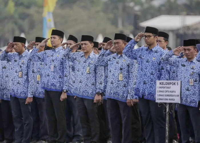 Kenapa PPPK Mengundurkan Diri? 5 Alasan Ini Paling Sering Membuat PPPK Mundur