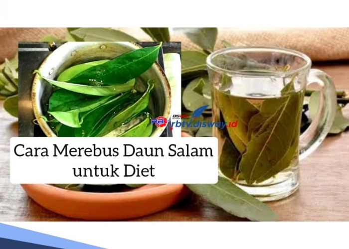 Menurunkan Berat Badan tanpa Bikin Sengsara, Simak Cara Merebus Daun Salam untuk Diet