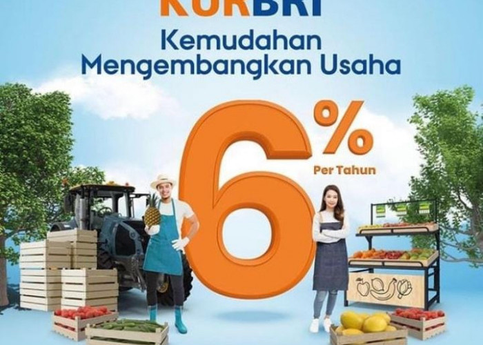 4 Kriteria Pedagang yang Jadi Prioritas Saat Mengajukan KUR BRI, Bisa Pinjam Sampai Rp500 Juta