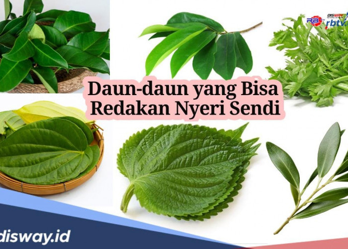 Setop Konsumsi Makanan Berikut, Begini Cara Mengatasi Nyeri Sendi dengan Air Rebusan Daun Ini