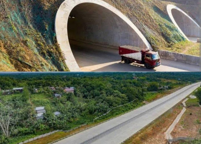 Tol Bengkulu Canggih Belah Perut Bumi, Ini Daftar Tol yang Dibangun Tak Biasa 