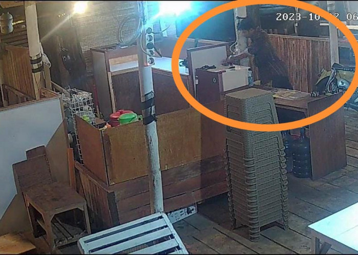 Rizki Ketiban Sial, Sedang Tidur HP Dicuri, Pelakunya Terekam CCTV