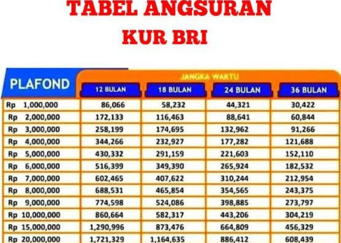 7 Tips Agar Lolos Pengajuan KUR BRI Tanpa Jaminan, Plafon Pinjaman Rp30 Juta Cicilan Rp600 Ribuan