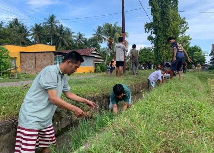 Tabel Rincian Dana Desa di Kabupaten Pinrang Tahun 2024, Perbaiki Irigasi yang Rusak