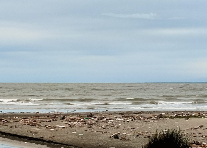 Tangani Sampah Laut, Dinas Perikanan Gandeng LPM