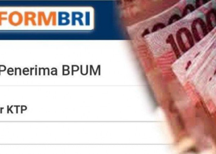 Modal HP, UMKM Bisa Dapat BLT Rp 2,4 Juta, Cek Syaratnya di Sini