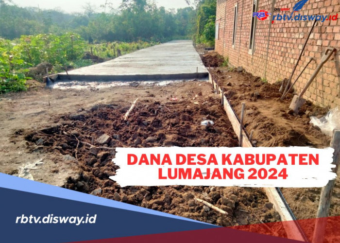 Rincian Dana Desa Kabupaten Lumajang 2024, Cek Pembagian untuk Desamu