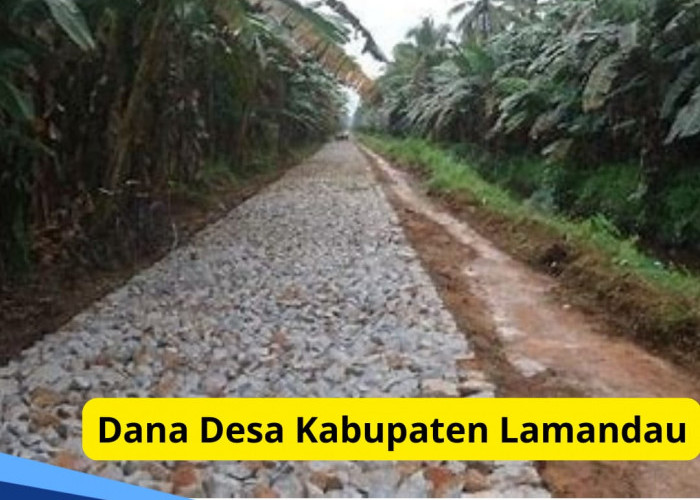 Dana Desa Kabupaten Lamandau 2024, Ini Rincian Alokasi DD untuk 85 Desa 