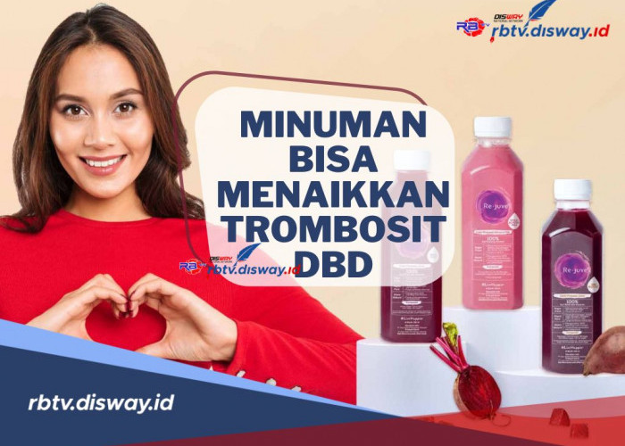 7 Minuman Alami yang Bisa Menaikan Trombosit DBD, Apa saja? Cek di Sini Termasuk Cara Membuatnya