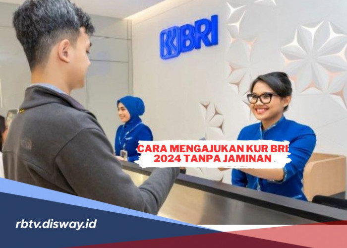 Pelaku UMKM, Simak 8 Cara Mengajukan KUR BRI 2024 Tanpa Jaminan