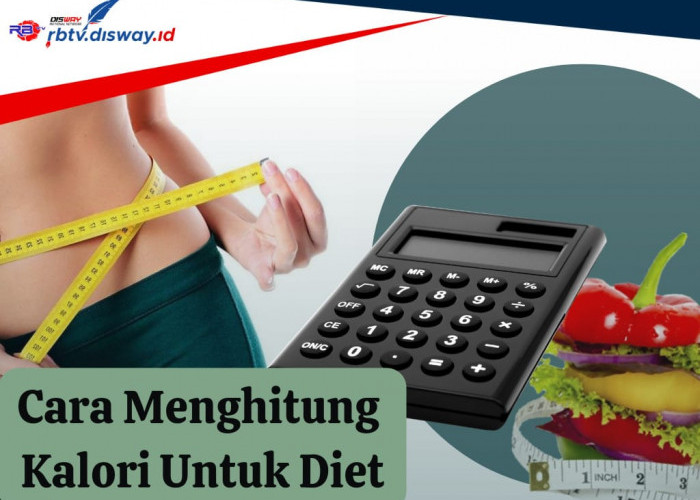 Gak hanya Kurangi Porsi Makan, Ini Cara Menghitung Kalori untuk Diet Sehari-hari, Dijamin Berhasil