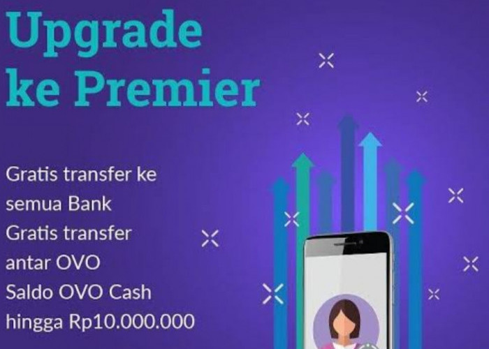 Cara Transfer Pakai OVO Tanpa perlu Updgrade Premier, Ikuti Langkah Mudahnya di Sini