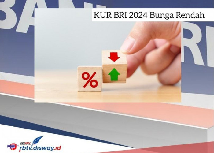 KUR BRI 2024 Ada Bunga 3 Persen per Tahun, Plafon Rp 15 Juta Cicilan Ringan