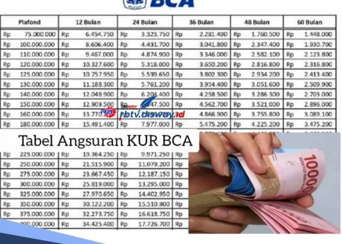 Tabel Angsuran KUR BCA 2024 Pinjaman Rp 35 Juta Cicilan Ringan, Mulai Rp 600 Ribuan