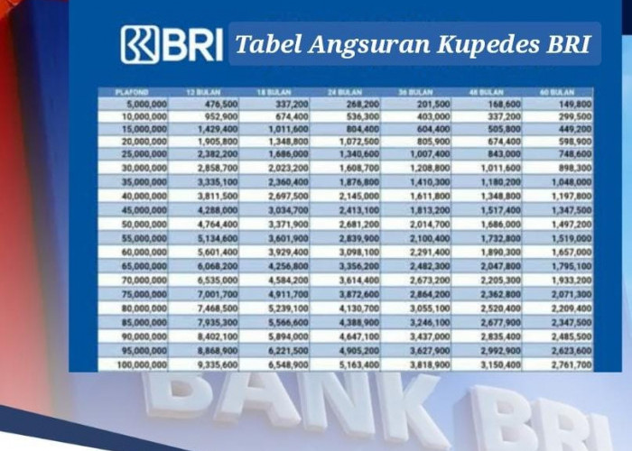 Pinjaman Rp 100 Juta Non KUR BRI 2024 Bisa Bayar Sesuai Pilihan, Ini Tabel Angsurannya 