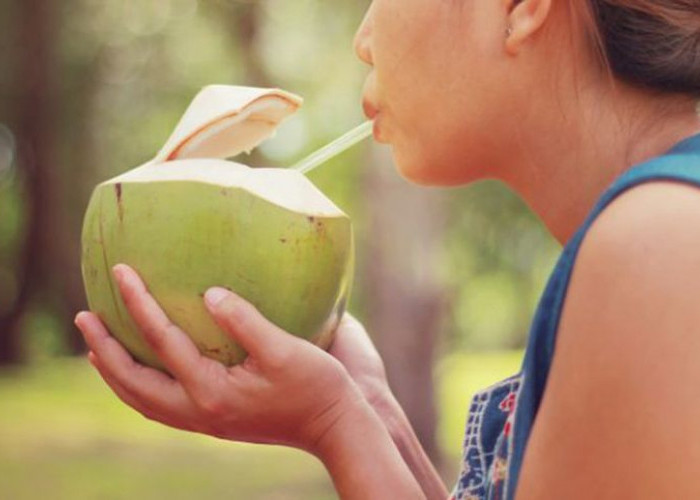 Dampak Bagi Wanita Konsumsi Air Kelapa Saat Haid, Silakan Dibuktikan 